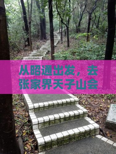 昭通去张家界天子山景点