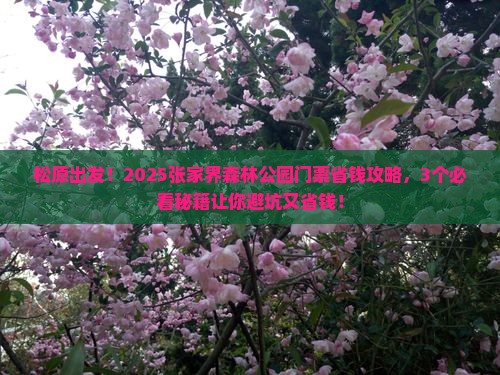松原到张家界森林公园门票