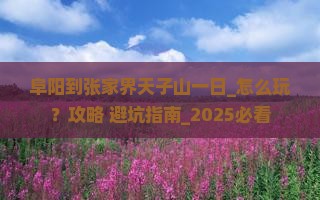 阜阳到张家界天子山一日
