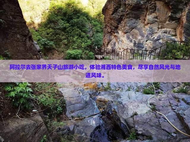 阿拉尔去张家界天子山旅游小吃