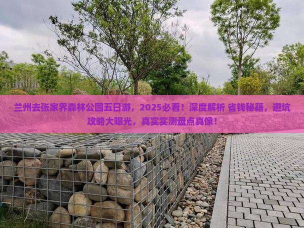 兰州去张家界森林公园五日游