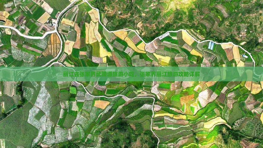 丽江去张家界武陵源旅游小吃