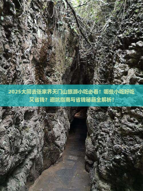 大同去张家界天门山旅游小吃 大同去张家界天门山旅游小吃