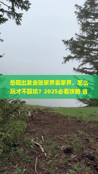 岳阳到张家界袁家界攻略
