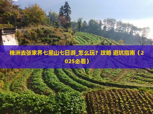 株洲去张家界七星山七日游