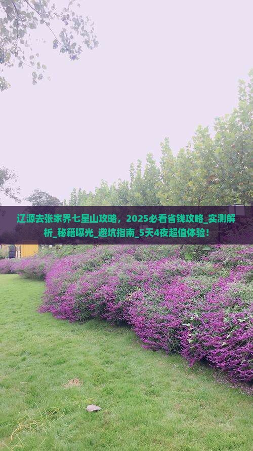 辽源去张家界七星山攻略