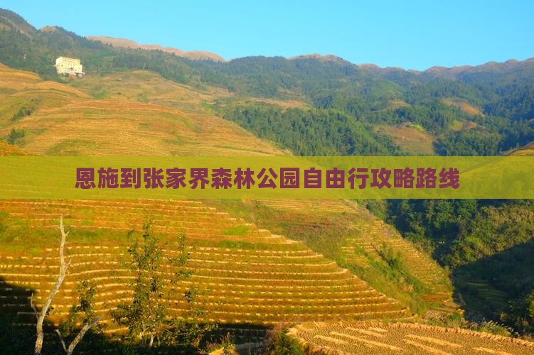 恩施到张家界森林公园自由行
