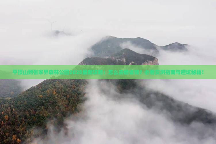 平顶山到张家界森林公园攻略