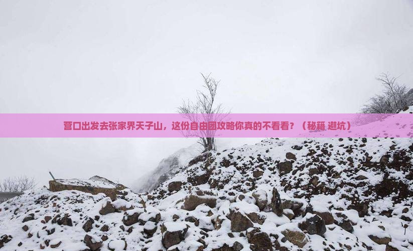 营口到张家界天子山自由团