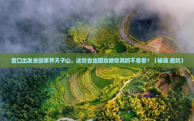 营口到张家界天子山自由团