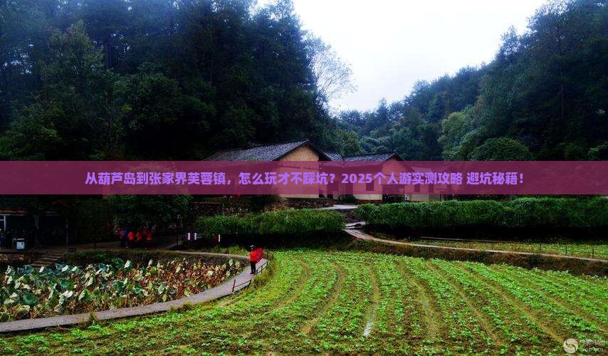 葫芦岛到张家界芙蓉镇个人游