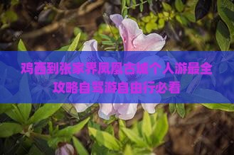 鸡西到张家界凤凰古城个人游
