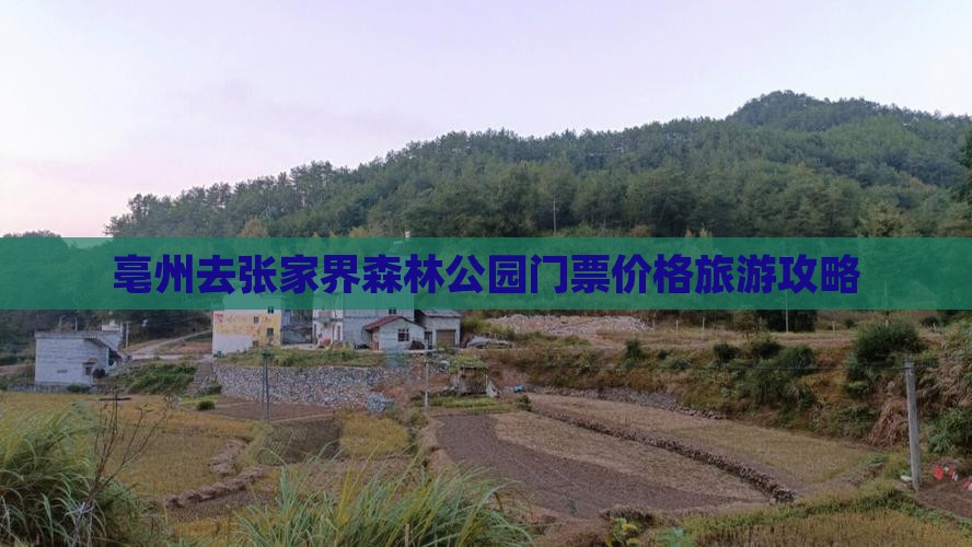 亳州去张家界森林公园门票