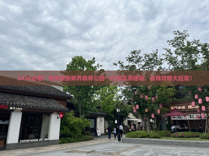 亳州去张家界森林公园一日