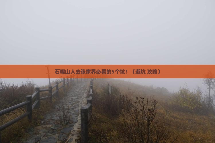 石嘴山去张家界旅行社