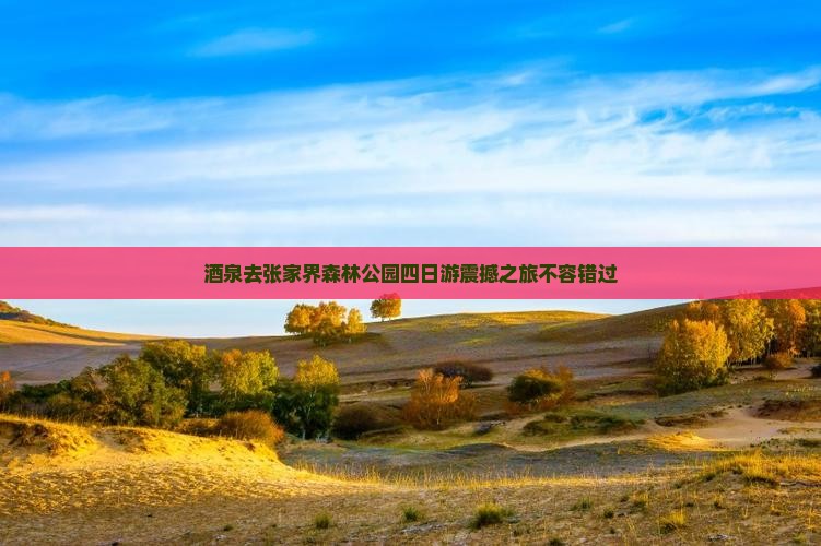 酒泉去张家界森林公园四日游