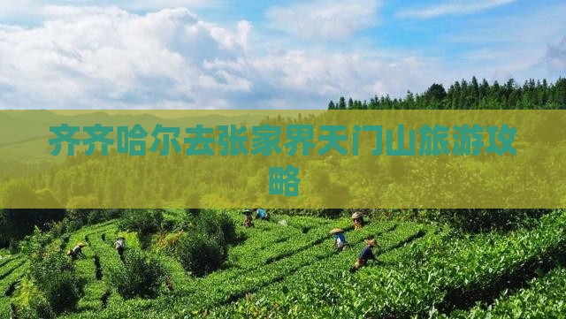 齐齐哈尔去张家界天门山哪里玩