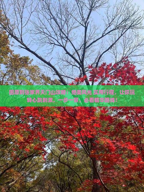 固原到张家界天门山攻略
