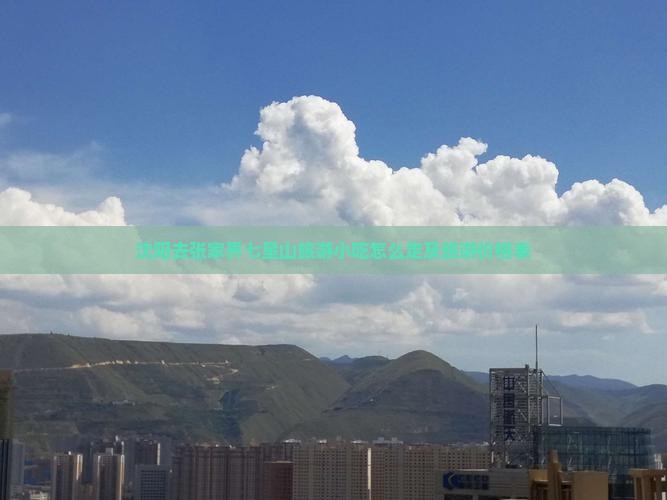 沈阳去张家界七星山旅游小吃