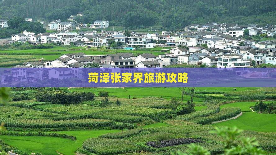 菏泽去张家界团体旅游