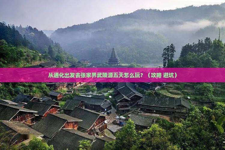 通化去张家界武陵源五日游