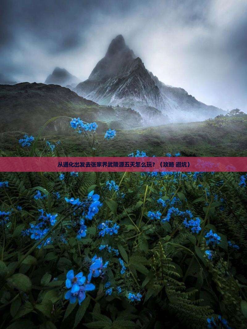 通化去张家界武陵源五日游
