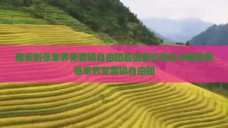 雅安到张家界芙蓉镇自由团