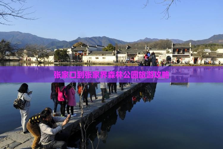 张家口到张家界森林公园攻略