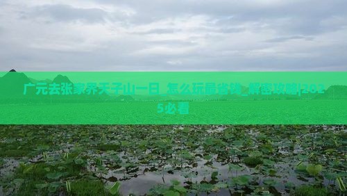 广元去张家界天子山一日