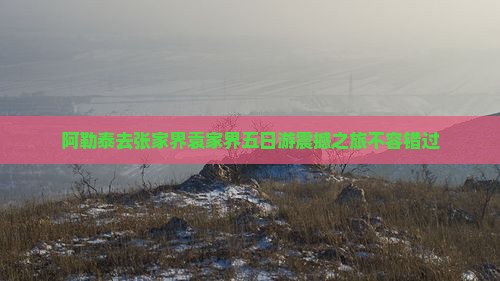 阿勒泰去张家界袁家界五日游