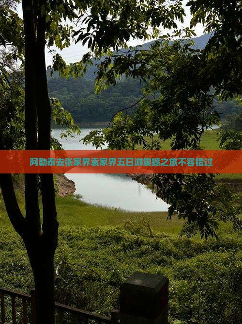 阿勒泰去张家界袁家界五日游