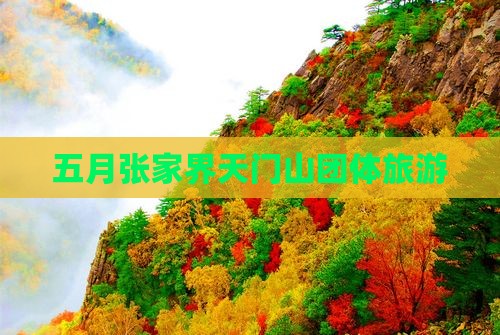 五月到张家界天门山团体旅游