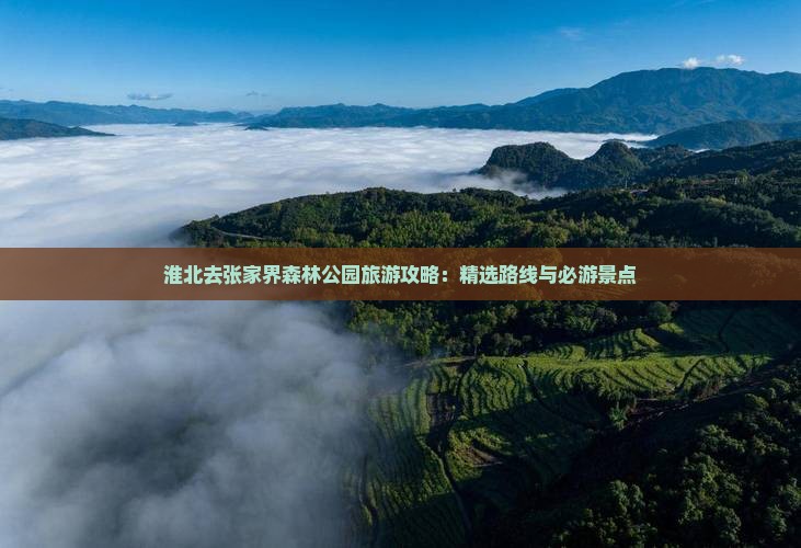 淮北去张家界森林公园哪里玩