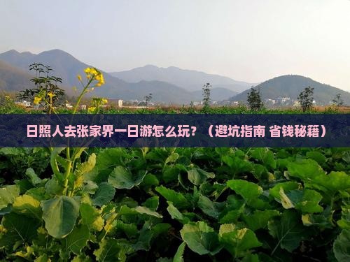 日照去张家界一日