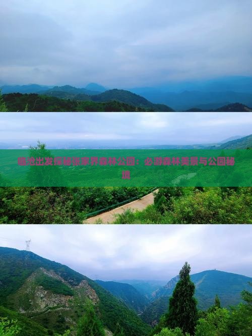临沧出发探秘张家界森林公园：必游森林美景与公园秘境