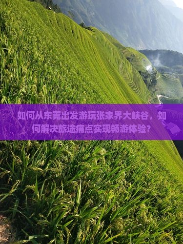 如何从东莞出发游玩张家界大峡谷，如何解决旅途痛点实现畅游体验？
