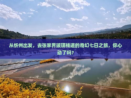 从忻州出发，去张家界玻璃栈道的奇幻七日之旅，你心动了吗？