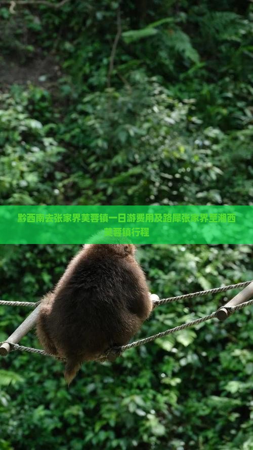 黔西南去张家界芙蓉镇一日游费用及路犀张家界至湘西芙蓉镇行程