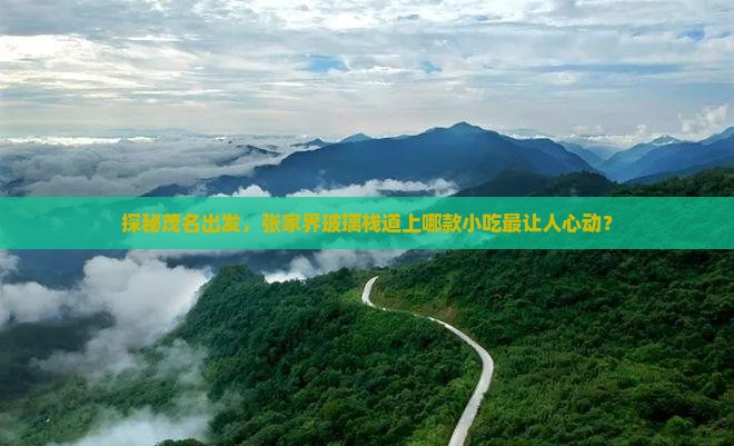探秘茂名出发，张家界玻璃栈道上哪款小吃最让人心动？