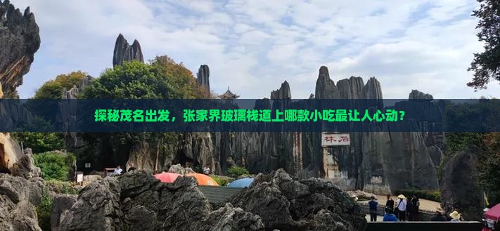 探秘茂名出发，张家界玻璃栈道上哪款小吃最让人心动？
