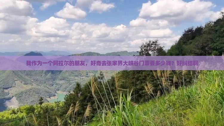 我作为一个阿拉尔的朋友，好奇去张家界大峡谷门票要多少钱？好纠结啊