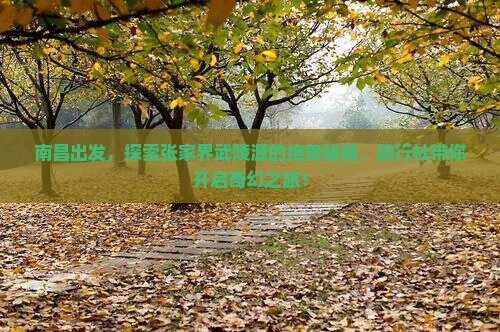 南昌出发，探索张家界武陵源的绝美秘境，旅行社带你开启奇幻之旅！