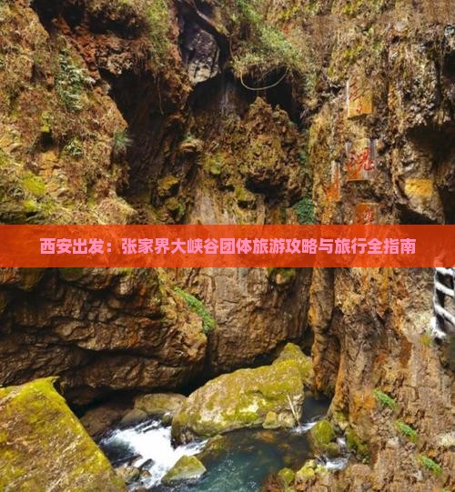 西安出发：张家界大峡谷团体旅游攻略与旅行全指南