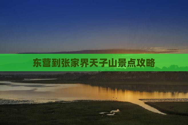 东营到张家界天子山景点攻略