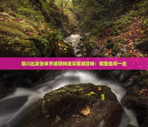 银川出发张家界玻璃栈道深度游攻略：哪里值得一去
