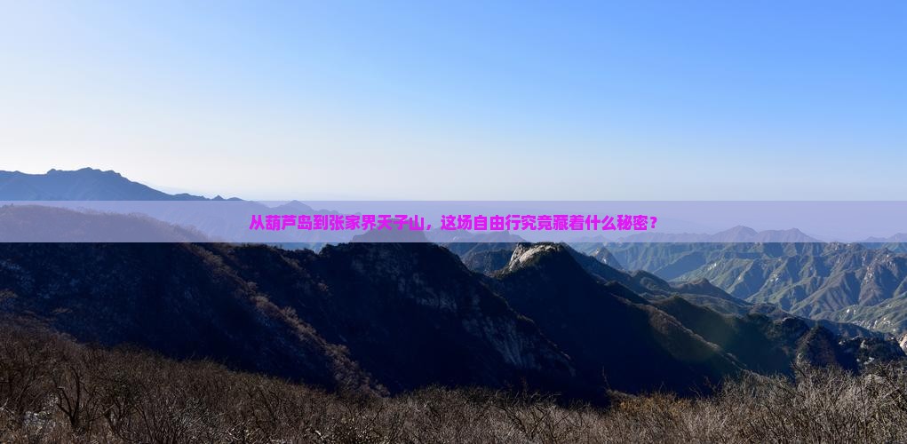 从葫芦岛到张家界天子山，这场自由行究竟藏着什么秘密？
