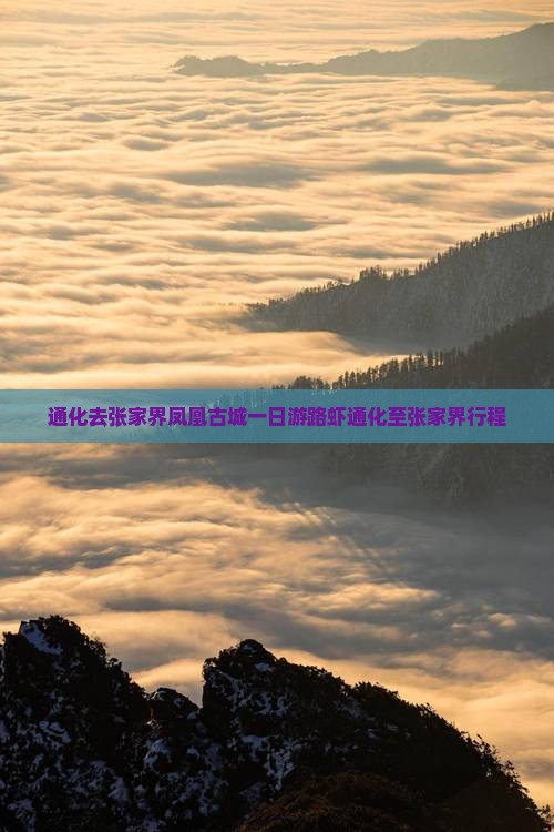 通化去张家界凤凰古城一日游路虾通化至张家界行程