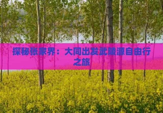 探秘张家界：大同出发武陵源自由行之旅