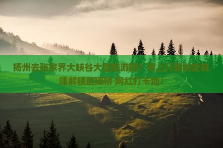 扬州去张家界大峡谷大型旅游团？背上行囊说走就赚解锁玻璃桥+网红打卡地！