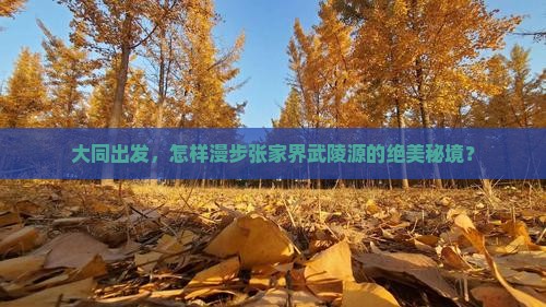 大同出发，怎样漫步张家界武陵源的绝美秘境？